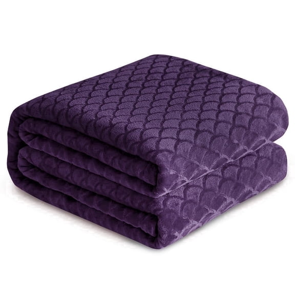 Aisbo Brushed Flannel Blanket Purple Queen, Super Soft and Cozy Blankets All Season Use