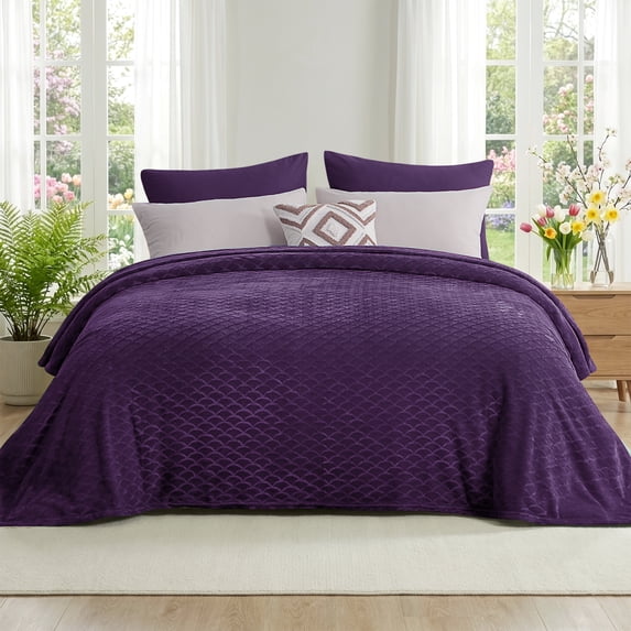 Aisbo Brushed Flannel Fleece Blankets Twin Size Purple, Soft Warm Lightweight Throw for Couch Camping Travel, Anti-Static Cozy Bedding, 60x80 Inches