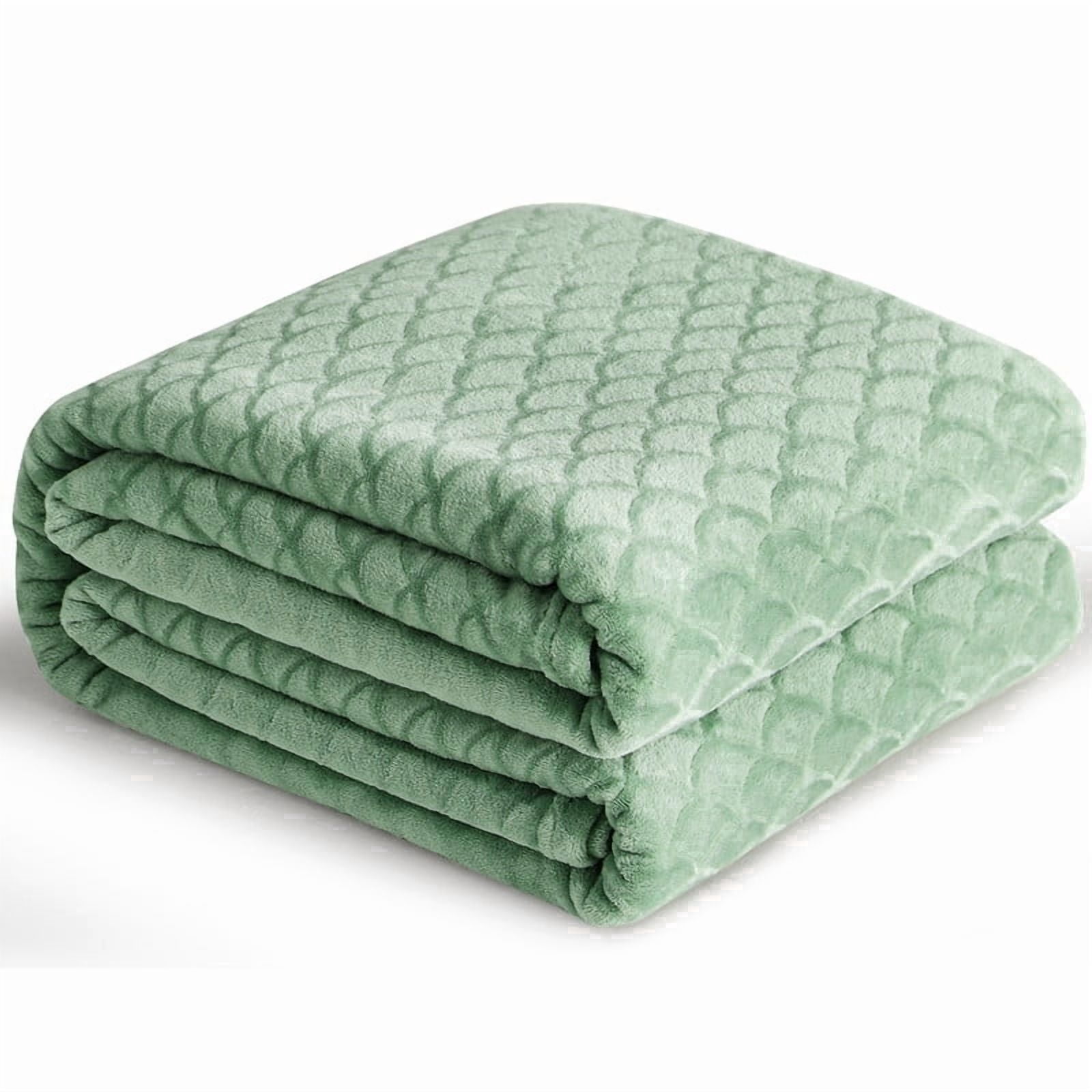 Aisbo Brushed Flannel Blanket Winter Green Queen, Super Soft and Cozy Blankets All Season Use