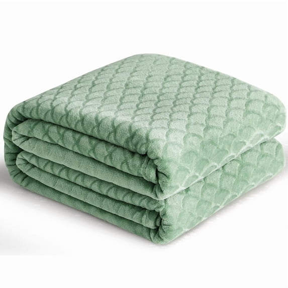 Aisbo Brushed Flannel Blanket Winter Green Throw, Super Soft and Cozy Blankets All Season Use