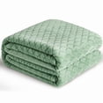 thumbnail image 1 of RUIKASI Brushed Flannel Blanket Winter Green Throw, Super Soft and Cozy Blankets All Season Use, 1 of 9