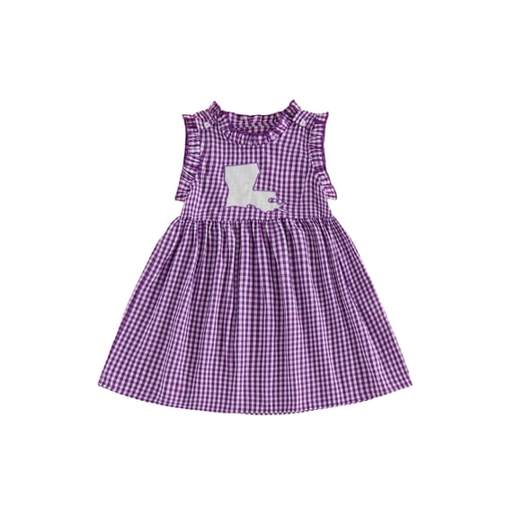RUINIXCW Kids Toddler Baby Girl Gingham Plaid Dress Little Baby Girls Summer Tank Dress Ruffled Collar Embroidery Sweet A-line Dress 12 Months-5 Years