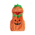 thumbnail image 1 of RUINIXCW Toddler Baby Boy Girl Halloween Halloween Costume Kids Cosplay Outfit Newborn Fall Winter Warm Clothes Fleece Sleeveless Hooded Tops, 1 of 10