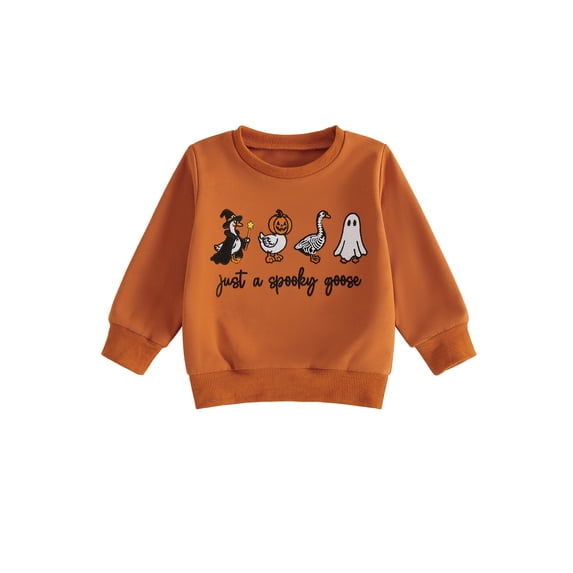 RUINIXCW Toddler Baby Boy Girl Halloween Sweatshirt Outfit Infant Fall Winter Clothes Pumpkin Ghost Letters Embroidery Crew Neck Pullover Shirts Tops