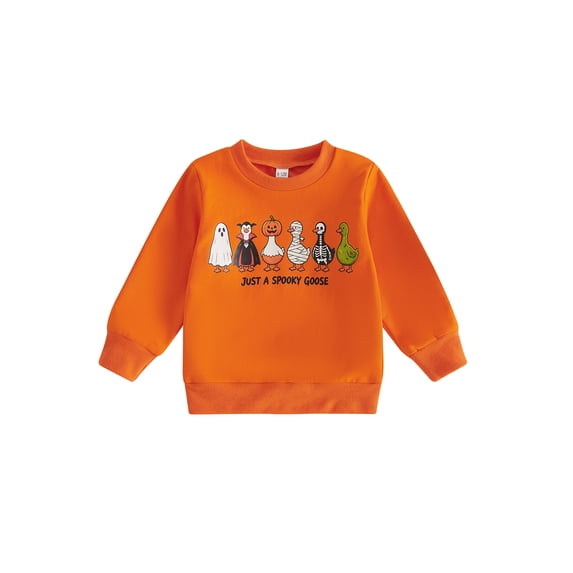 RUINIXCW Toddler Baby Boy Halloween Sweatshirts Long Sleeve Goose Print Fall Tops