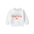 thumbnail image 1 of RUINIXCW Toddler Baby Girl Boy Halloween Sweatshirt Outfit Newborn Infant Fall Winter Sweatshirt Mama's Pumpkin Print Long Sleeve Pullovers Shirt Top, 1 of 8