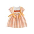 thumbnail image 1 of RUINIXCW Toddler Baby Girl Halloween Dress Infant Baby Girl Summer Fall Dress Clothes Pumpkin Embroidery Collar Puff Short Sleeve Dress with Bow, 1 of 8