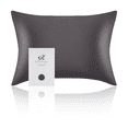 thumbnail image 1 of RUIPTSKE 100% Mulberry Silk Pillowcase, 22 Momme 600 Thread - 1 Pcs Dark Gray Standard 20'' x 26'', 1 of 7