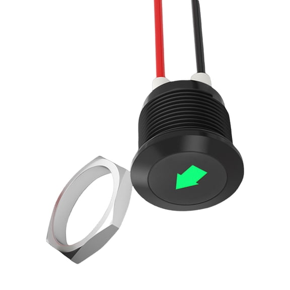 RUISINERY Car Indicators Light Single Arrows Symbols Car Dashes Light LED Car Turn Signals Indicators Light with Wire Leads Enduri