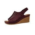 thumbnail image 1 of RUIYANQI Stylish Women's Wedge Sandals,Comfortable Perforated Construction,Perfect for Casual Outings Wine Women Sandal, 1 of 9