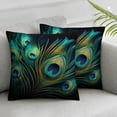 thumbnail image 1 of RUIYC Peacock Feathers Short Plush Throw Pillow Cover Set of 2, All Year Round, Standard Size 22x22in, 1 of 6