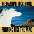 thumbnail image 1 of RUNNING LIKE THE WIND, 1 of 1