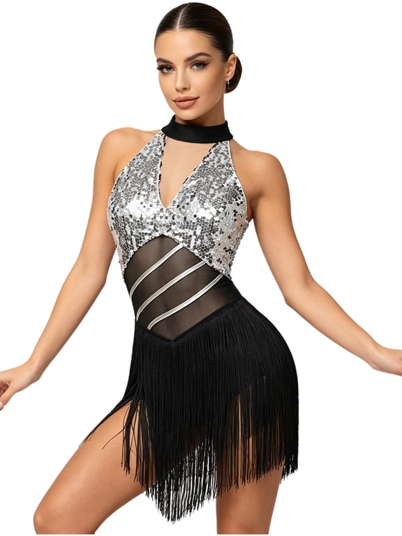 Women Latin Tango Dance Dress Shiny Sequin Fringe Samba Ballroom Dancing Leotard Dress Silver S