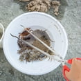 thumbnail image 1 of RUNROTOO 1Set Stainless Steel Crab Tong Fish Claw Gripper for Outdoor Enthusiasts 20.3x4.3x0.2in, 1 of 8