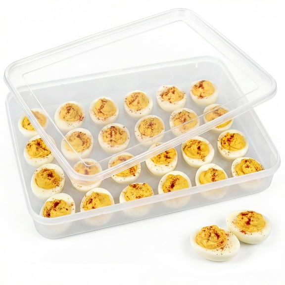 RUREN Deviled Egg Containers with Lid, Plastic Egg Holder