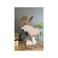 thumbnail image 1 of RUSTIC METAL MOOSE, 1 of 2