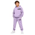 thumbnail image 1 of RUTAYY Boys 2 Piece Set City Graphic Long Sleeve Pullover Hoodie Jogger Pants Casual Everyday Wear Outfits, Purple, 1 of 7