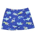 thumbnail image 1 of RUTAYY Boys Swim Trunks Beach Bathing Suit Toddler Swimsuit Swimwear Pool Resort Beachwear, One Size, 1 of 3