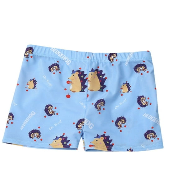 RUTAYY Boys Swim Trunks Beach Bathing Suit Toddler Swimsuit Swimwear Pool Tropical Beachwear, 2-4 Years