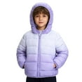 thumbnail image 1 of RUTAYY Children Boys Girls Puffer Jacket Long Sleeve Winter Warm Gradient Color Down Jacket with Hooded Kids Windproof Outdoor Cold Weather Holiday Chic Coat, 1 of 5