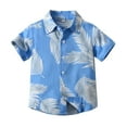 thumbnail image 1 of RUTAYY Boys' T-Shirt Leisure suit Hawaii flower printed lapel shirt Everyday Elegant Tops , Blue, 12-18 Months, 1 of 5