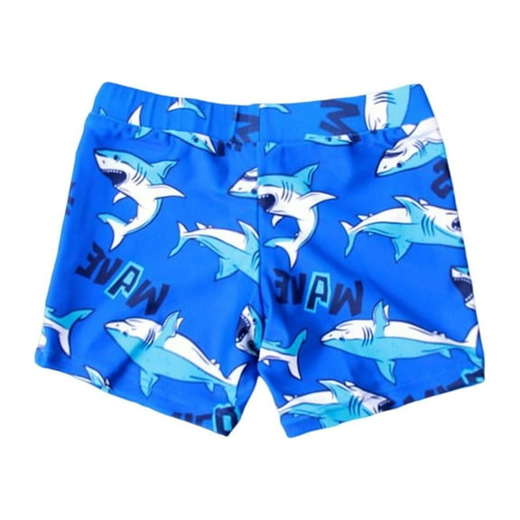 RUTAYY Toddler Kids Baby Boys Summer Gradient Print Shorts Quick Dry Beach Swimwear Swimming Trunks Clothes Pool Boho Beachwear, 6-12 Months