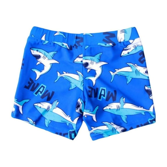 RUTAYY Toddler Kids Baby Boys Summer Gradient Print Shorts Quick Dry Beach Swimwear Swimming Trunks Clothes Pool Hawaii Beachwear, 3-4 Years