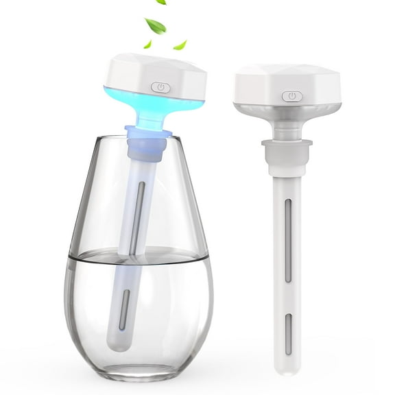RUXAN Mini Portable Humidifier, Ultra Quiet Cool Mist USB Personal Humidifiers with Colorful Night Light ,Container Diversity Air Humidifier for Plants/Office/Hotel