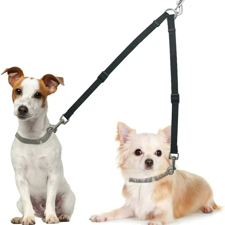 Leashes to walk two dogs sales