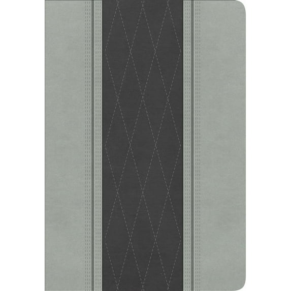 RVR 1960 Biblia Letra Grande Tamaño Manual, gris claro/gris carbón símil piel (Hardcover)