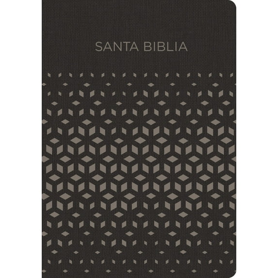 RVR 1960 Biblia para Regalos y Premios, Negro/plata Símil Piel (Hardcover)