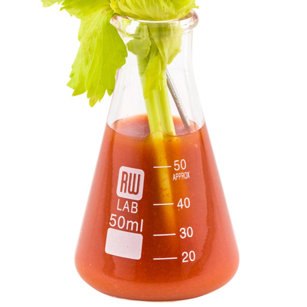 Conical Box Lab RW Lab 50 mL Glass Conical Flask - Borosilicate - 2
