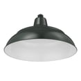 thumbnail image 1 of RWHS17-SG Millennium Lighting R Series - 1 Light Warehouse Shade-9.25 Inch Tall and 17 Inch Wide-Satin Green Finish, 1 of 7