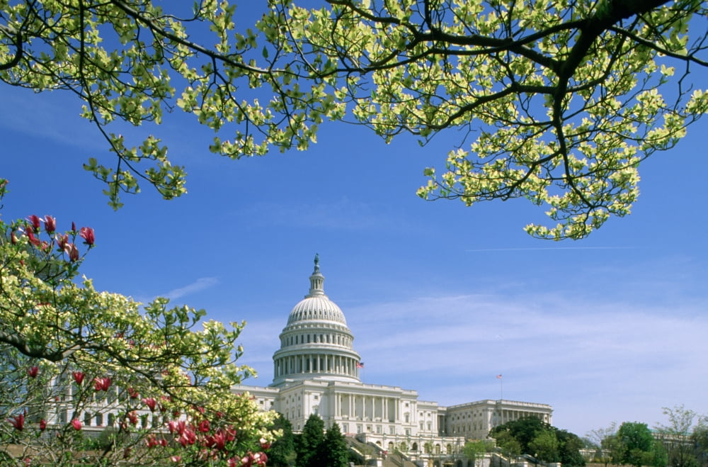 RWatts Capitol Building Washington Dc Canvas Art - Ron Watts Design Pics (34 x 22)