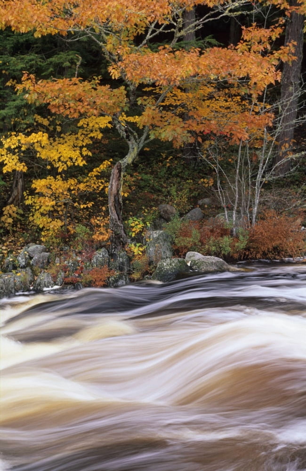 RWatts Mills Falls Ns Canvas Art - Ron Watts Design Pics (11 x 18)
