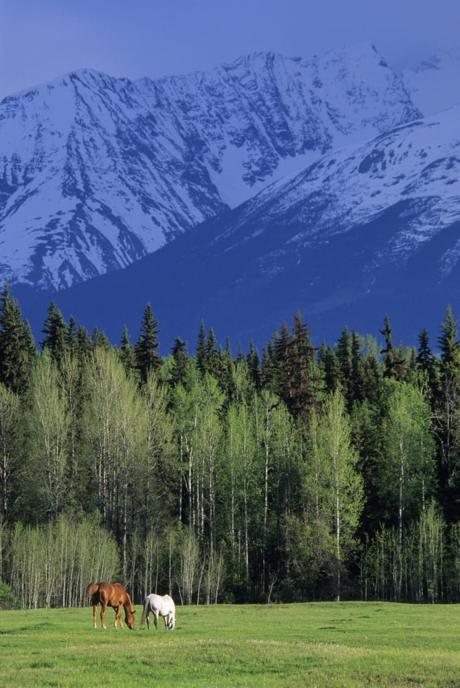 RWatts Telkwa High Road Bulkley Valley Prince George Region Bc Canvas Art - Ron Watts Design Pics (11 x 17)