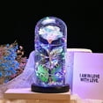 thumbnail image 1 of RXIRUCGD Galaxy Glass Rose Flower Forever Eternal Crystal Light Up Rose in Glass Dome with Butterfly, Birthday Xmas Valentines Day Gifts for Mom Grandma Wife Girlfriend Valentines Day Decorations, 1 of 8