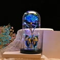 thumbnail image 1 of RXIRUCGD Galaxy Glass Rose Flower Forever Eternal Crystal Light Up Rose in Glass Dome with Butterfly, Birthday Xmas Valentines Day Gifts for Mom Grandma Wife Girlfriend Valentines Day Decorations, 1 of 9
