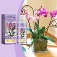 thumbnail image 1 of RXIRUCGD Orchid Plant Grower Extend Flowering Period Orchid Foliage Bright Green Nutrient Solution 50ml, 1 of 9