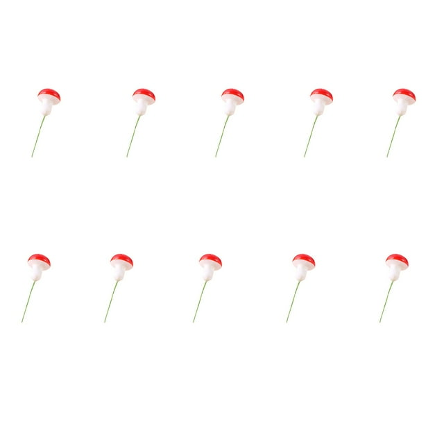 RXMEKW Plant Mini Foam Color MUSHROOMss Micro Landscapes Basin Small