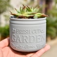 thumbnail image 1 of RYDCOT Plastic Succulent Pot, Indoor Desktop Plants Small Flower Pot, for Orchids, Violets, Succulents, Herbs, and Other Plants (1Pcs), 1 of 6
