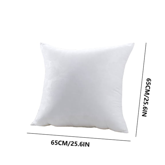 RYDCOT Throw Pillow Insert, Lightweight Soft Polyester Down Alternative Decorative Pillow, Sham Stuffer, Machine Washable (White, 25x25)