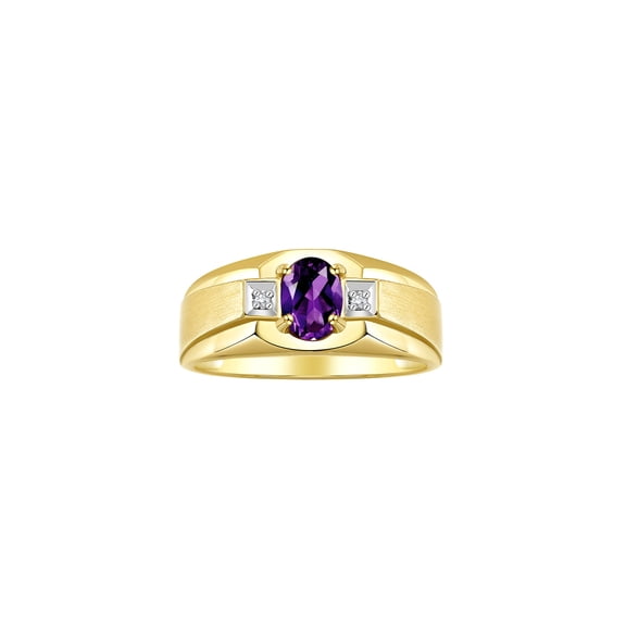 RYLOS Men's Rings 14K Yellow Gold Classic 7X5MM Oval Gemstone & Diamond Ring Amethyst February Birthstone Rings For Men, Gold Rings Size 8