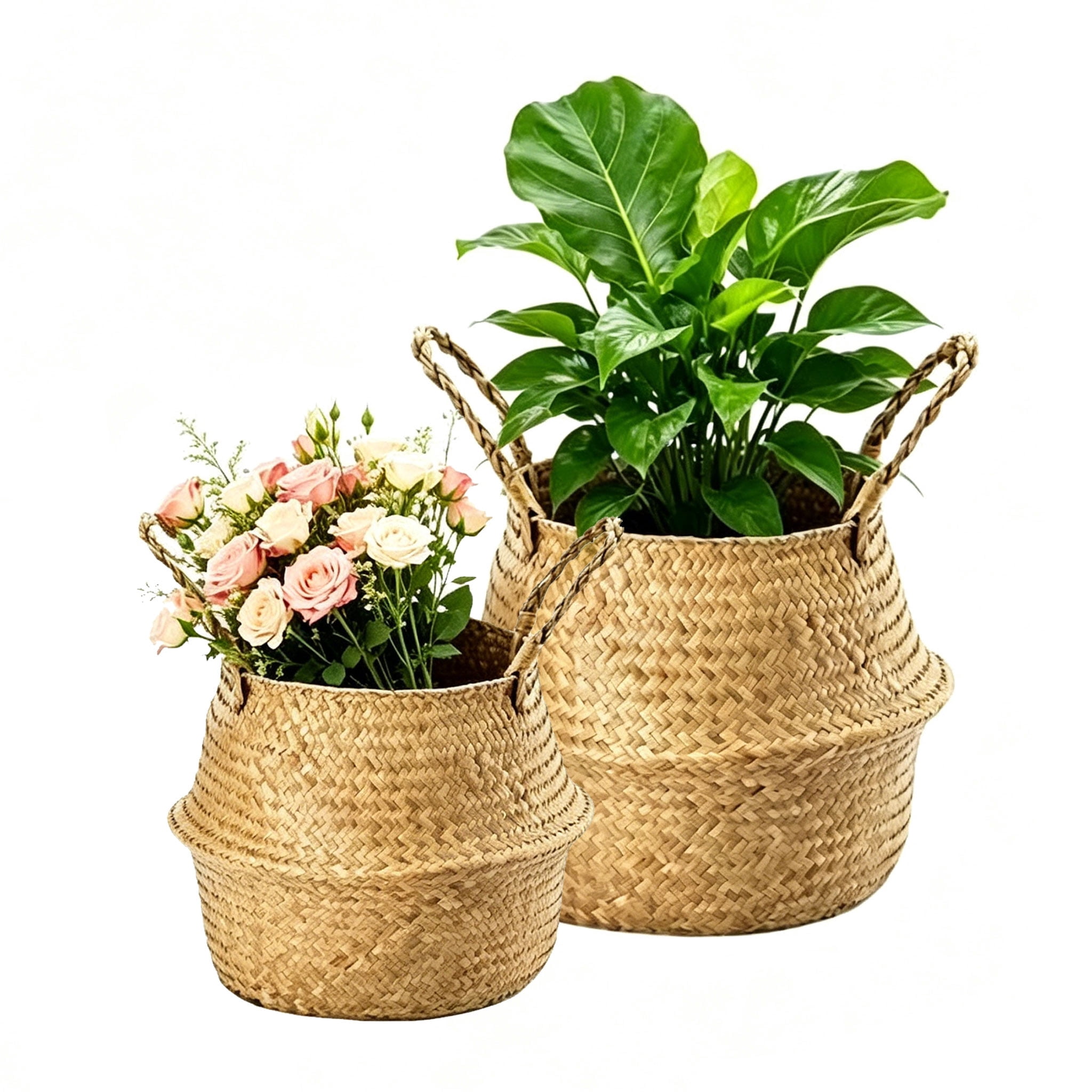 Plant Basket