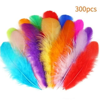 ドリームキャッチャー Craft Feathers in Basic Craft Supplies - Walmart.com
