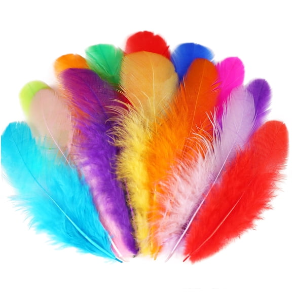 RYLZX 300pcs 3-5inch - Colorful Craft Rooster Feathers Colored Feathers Bulk for Kindergarten DIY Crafts Wedding Home Party Decoration Dream Catcher Supplies