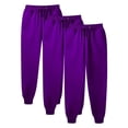 thumbnail image 1 of RYRJJ 3 Pack Womens Sweatpants High Waisted Drawstring Joggers Pants Trendy Baggy Cinch Bottom Sweatpants with Pockets(3PCS Purple,XL), 1 of 3