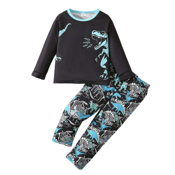 RYTAYY Children Boys Outfit Sets Dinosaur Print Long Sleeve Pullover with Elastic Waist Pants Casual Sleepwear Set Comfortable Everyday Wear Fashion Loungewear Set