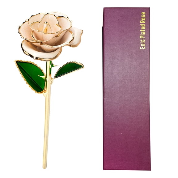 RYUJNDK 24K Plated Gold Rose Dried Flower with Box and Dispaly Stand for Wedding Anniversary Rose Flower