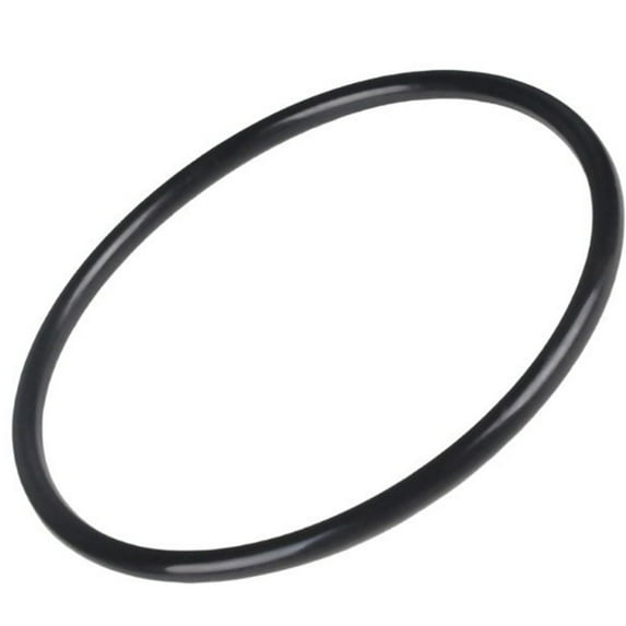 RYUJNDK Study Silicone Materials CX900F O Rings for Swimming Pool Filter Series C751 C900 C1200 C17502 Accessory